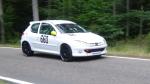 Fahrzeug Bild des Fahrers STOLL mit dem Fahrzeug Peugeot 206 RC