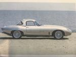 Fahrzeug Bild des Fahrers Hörtreiter  mit dem Fahrzeug Wildcat Roadster Coupe
