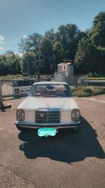 Fahrzeug Bild des Fahrers Spies  mit dem Fahrzeug MERCEDES BENZ 200 /8 W115