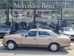 Fahrzeug Bild des Fahrers Renner mit dem Fahrzeug Mercedes Benz 500 SE