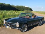 Fahrzeug Bild des Fahrers Krappmann mit dem Fahrzeug Mercedes Benz 280 SL W113 Pagode