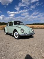 Fahrzeug Bild des Fahrers Grötzner mit dem Fahrzeug VW Käfer DeLuxe
