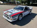 Fahrzeug Bild des Fahrers Weber mit dem Fahrzeug Lancia Rallye 037 Replika