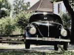 Fahrzeug Bild des Fahrers Leisering mit dem Fahrzeug Volkswagen Typ 11/a (Käfer Export)