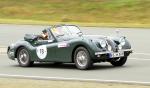 Fahrzeug Bild des Fahrers Boll mit dem Fahrzeug Jaguar XK 120dhcSE
