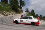 Fahrzeug Bild des Fahrers Kreim mit dem Fahrzeug Mitsubishi EVO VIII