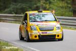 Fahrzeug Bild des Fahrers Horn mit dem Fahrzeug Citroën C2
