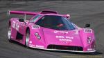 Fahrzeug Bild des Fahrers Hauber mit dem Fahrzeug Sakersportscar Saker Rap X