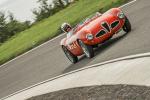 Fahrzeug Bild des Fahrers Hartmann mit dem Fahrzeug Alfa Romeo 1900 Barchetta 
