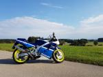Fahrzeug Bild des Fahrers Schmid  mit dem Fahrzeug Suzuki Rgv 250