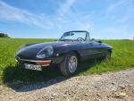 Fahrzeug Bild des Fahrers Bayer mit dem Fahrzeug Alfa Romeo Duetto Spider Veloce