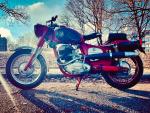 Fahrzeug Bild des Fahrers Pankow mit dem Fahrzeug Puch 250 SGS Super