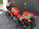 Fahrzeug Bild des Fahrers Strauß  mit dem Fahrzeug Ducati Pantha 600 SL