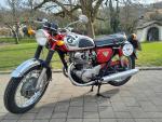 Fahrzeug Bild des Fahrers Bayer mit dem Fahrzeug Honda CB 450 K0