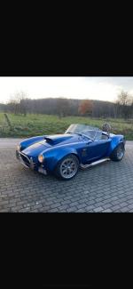 Fahrzeug Bild des Fahrers Gessner  mit dem Fahrzeug Cobra  Weineck Cobra 