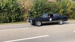 Fahrzeug Bild des Fahrers Riedl mit dem Fahrzeug Ford Torino Cobra Jet 428 Bigblock