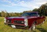 Fahrzeug Bild des Fahrers Scharr mit dem Fahrzeug Pontiac GTO