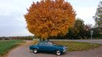 Fahrzeug Bild des Fahrers Watzi mit dem Fahrzeug Ford Falcon