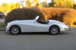 Fahrzeug Bild des Fahrers Mair mit dem Fahrzeug Jaguar XK 140 OTS