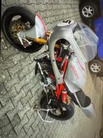 Fahrzeug Bild des Fahrers Bader mit dem Fahrzeug Ducati Motorrad