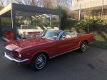 Fahrzeug Bild des Fahrers Braun mit dem Fahrzeug Mustang Cabrio
