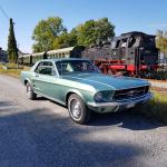 Fahrzeug Bild des Fahrers Rommel  mit dem Fahrzeug Ford Mustang  Coupé 