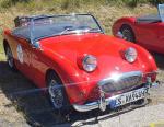 Fahrzeug Bild des Fahrers Geitz mit dem Fahrzeug Austin Healey  Sprite MK 1, Froschauge